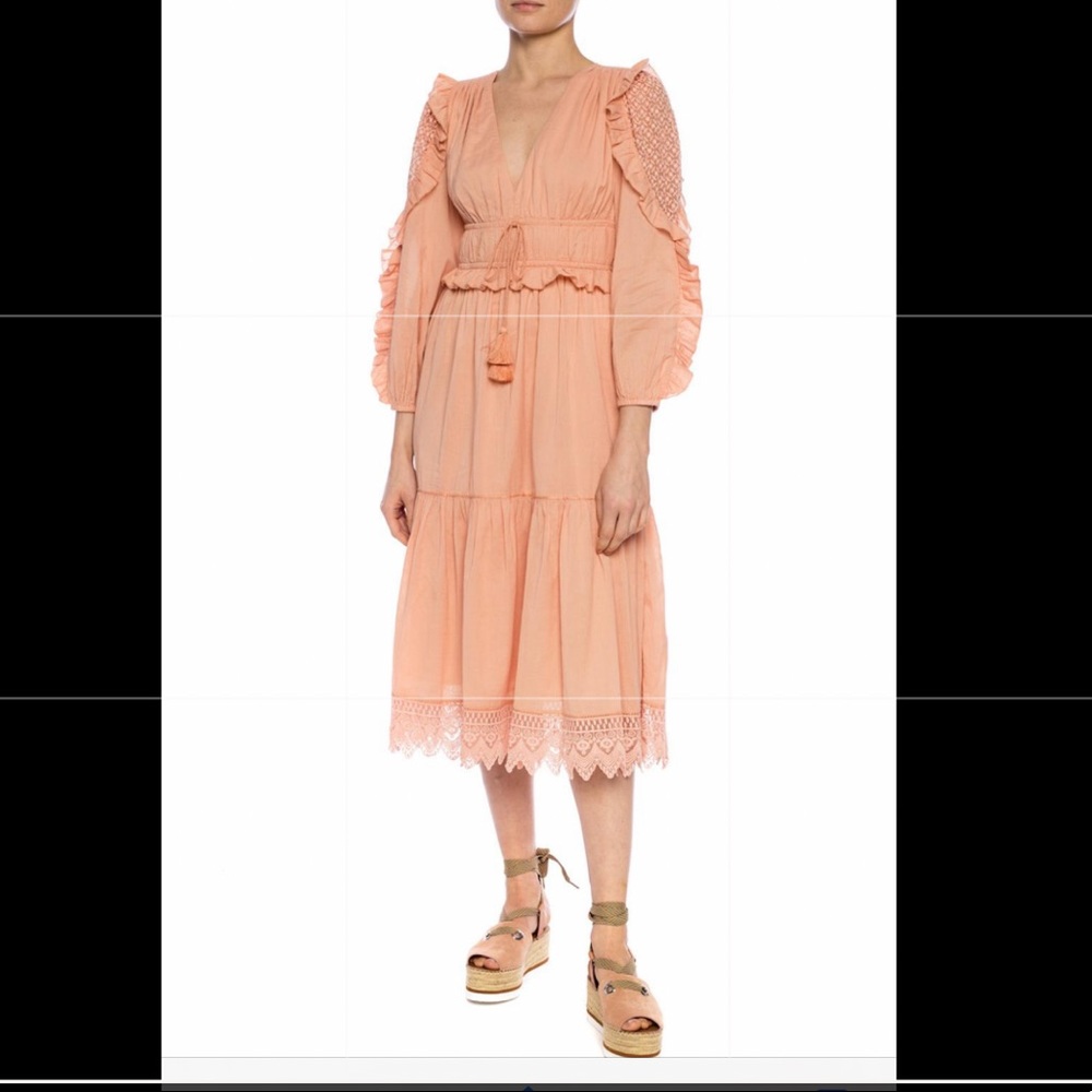 Ulla Johnson pink embroidered long dress